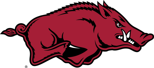 Arkansas Razorbacks Train Horn Drill