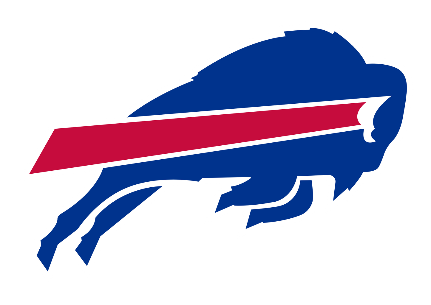 Buffalo Bills Train Horn Drill